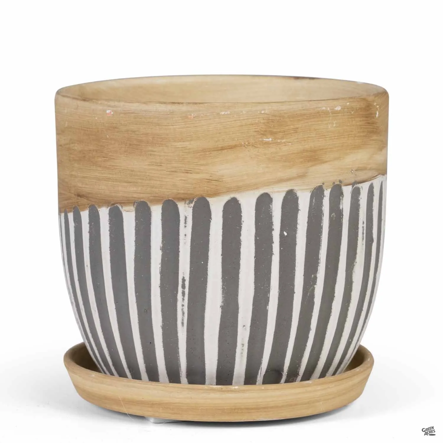 Alise Planter