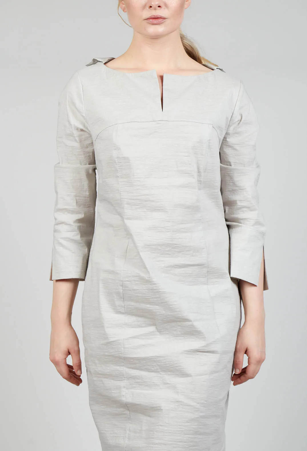 Alois Dress In Birch