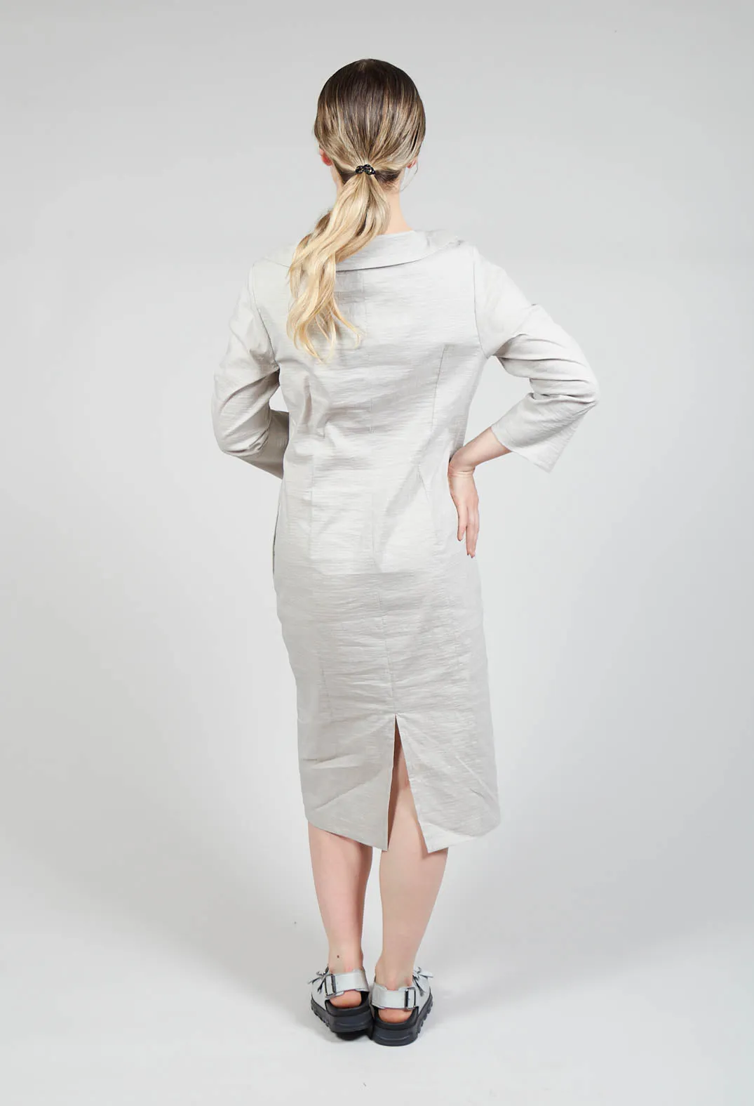 Alois Dress In Birch